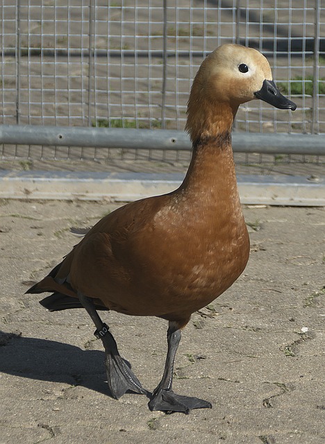 够帮助自己