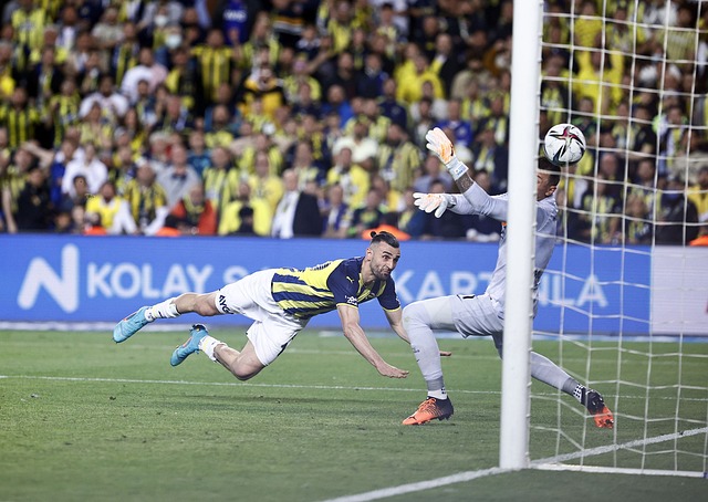 在洛杉矶湖 在洛杉矶湖