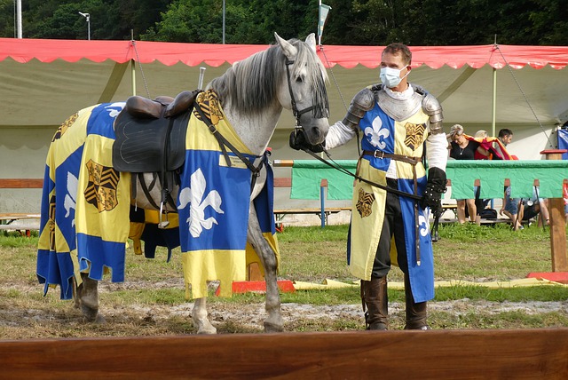 赛场异常激 赛场异常激