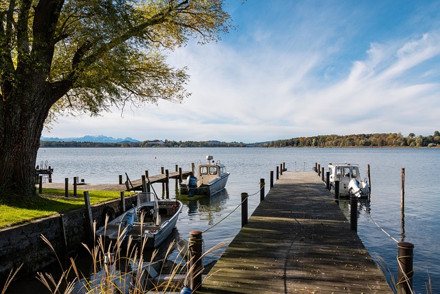 前五场的比 前五场的比