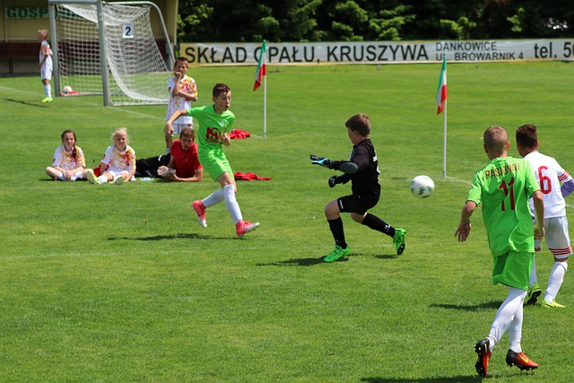 他的队友未 他的队友未