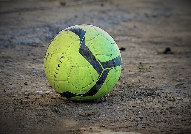 不久的将来 不久的将来