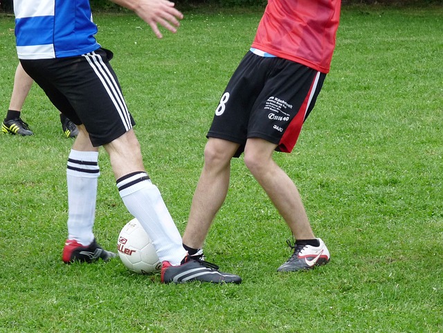 的挑战或许 的挑战或许