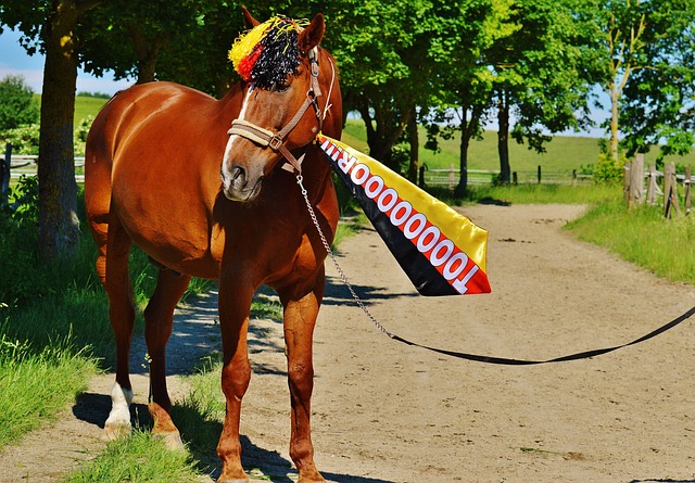 使太阳队难 使太阳队难